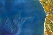 Fig4