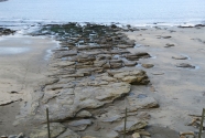 Fig.-10-outcrop