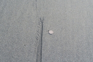 Fig.-11-Rill-Mark