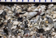 Fig.-14-micro-sand