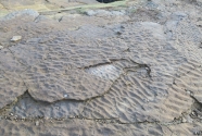 Fig.-16-Ancient-ripple-marks