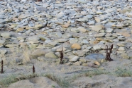 Fig.-7-energy-zone-sediments