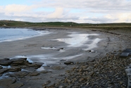Fig.-8-wtr-seeps