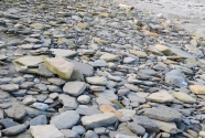 Fig.-9-Flagstones