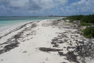 Anegada, British Virgin Islands