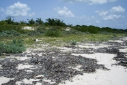 Anegada, British Virgin Islands