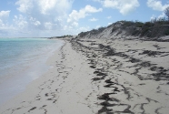 Anegada, British Virgin Islands