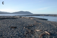 Prior to 1911, the Elwha River  supported 10 stocks of salmon and steelhead.