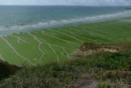 Ulva green tide, Brittany, France.