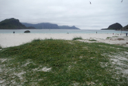 Figure-4-Dune-grasses-Haukland-Beach-Norway