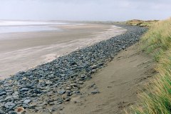 Coastal Experts