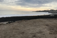 montecito-mudslide-goleta6