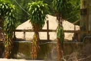 myanmar-sand-pile