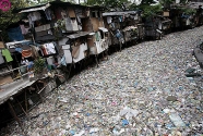 Creek-Manilla