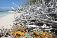 Fishing-gears-debris-beaches