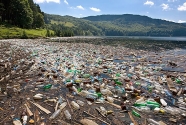 Northamerica-litter