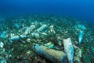 Seabed-pollution