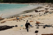 andaman-beach