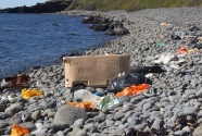 icelandic-shore