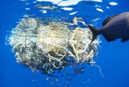 marine-debris-collection