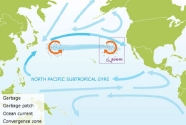 north-pacific-subtropical-gyre