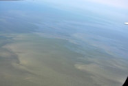 Continued Gulf Oil Spill Coverage by PSDS