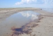 Oil puddled on the beach