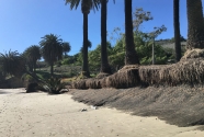 refugio-4