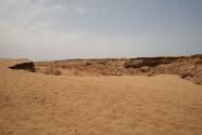 IMG_4526
