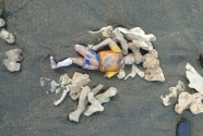 Figure-16