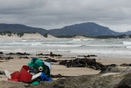 South West Marine Debris Cleanup, Tasmania, 2012.