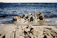 South West Marine Debris Cleanup