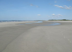 Wide Beach Berm