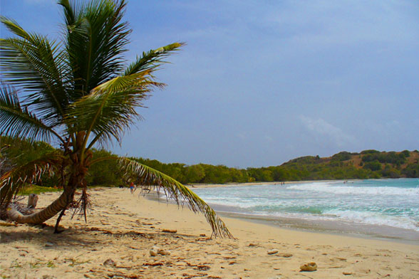 Anse Trabaud, FWI; By Claire Le Guern