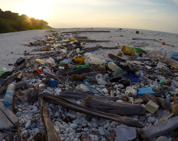 What happens to the plastic we throw out