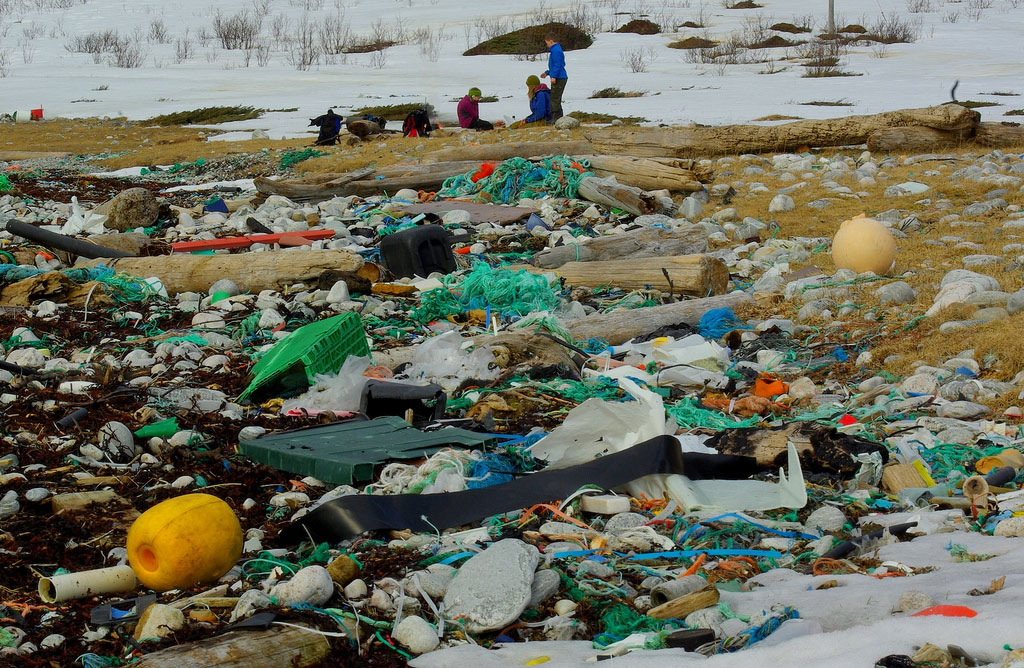 Plastic Litter Taints the Sea Surface, Even in the Arctic