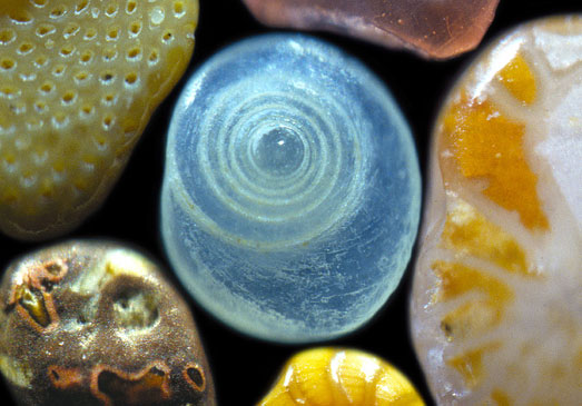 Sand Microscopic