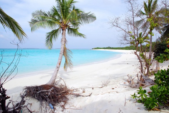 Maldives-erosion