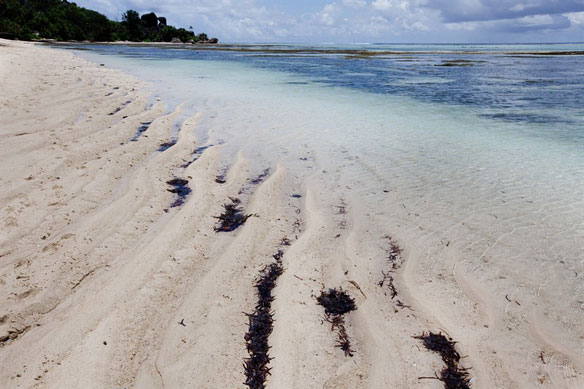 seychelles beach erosion