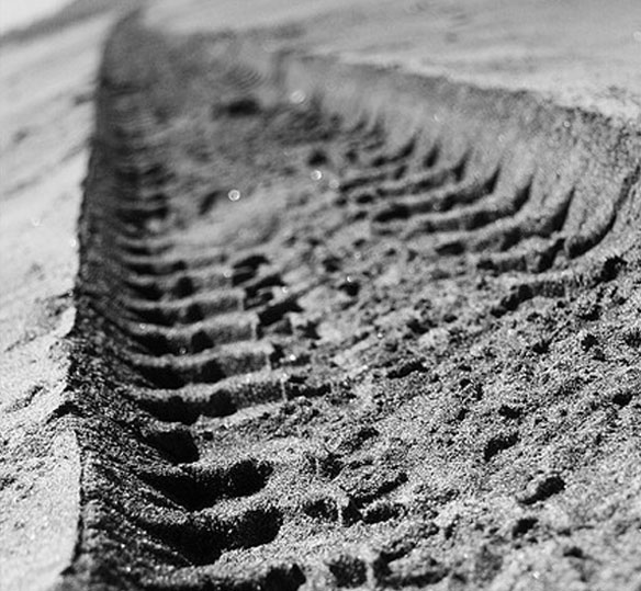 track-in-sand
