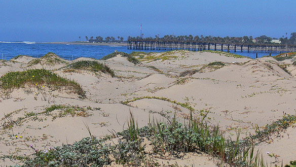 ventura-sand-dunes