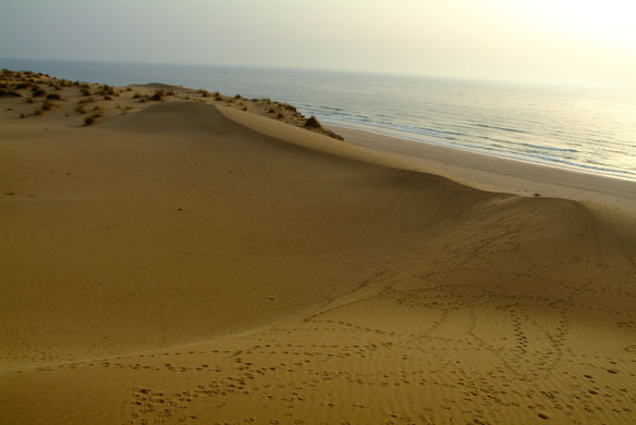 Dunes de sable maroc