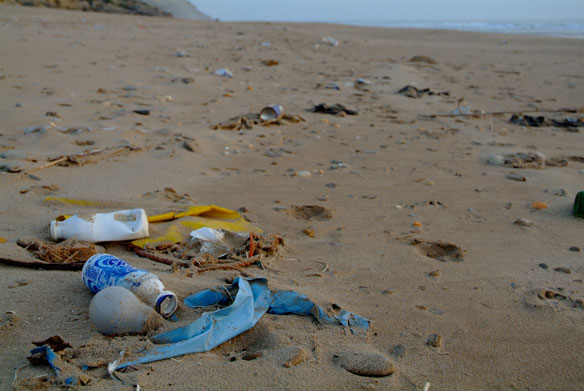 plastic-pollution-bottles