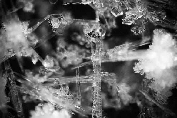 snow-crystal-close-up