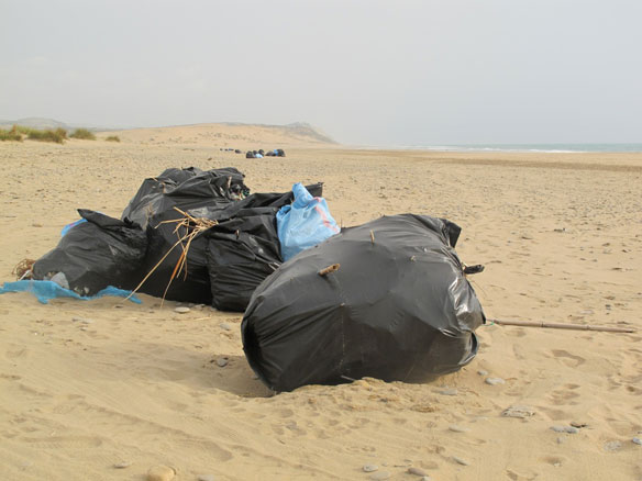 beach-clean-up