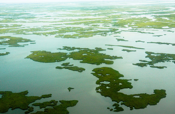 mississippi-delta-wetlands