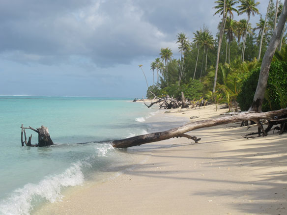 Samoa: Beach sand mining is aggravating coastal erosion in Upolu