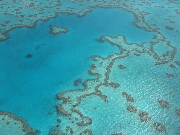 Why the Great Barrier Reef is in danger - Coastal Care