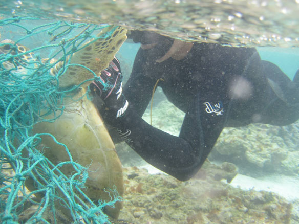 turttle-entangled-marine-debris