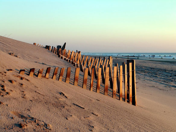 dune-fence